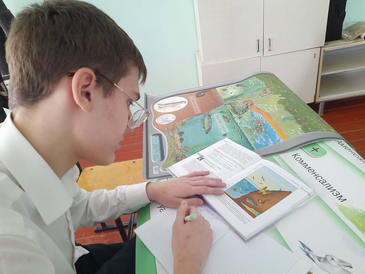 &amp;quot;За страницами учебника &amp;quot;Биология&amp;quot;.